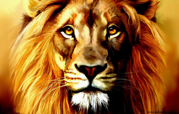 Lion Roar Wallpapers jpeg.jpeg