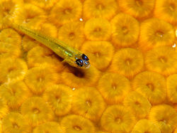 11_04 INT 2nd KHeimer