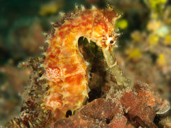 11_02 INT 2nd KHeimer1