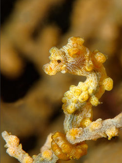 11_02 INT 3rd KHeimer2