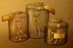 SciFri Human Remains