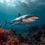 Thumbnail: Great White Shark Coral Reef AI Art Poster