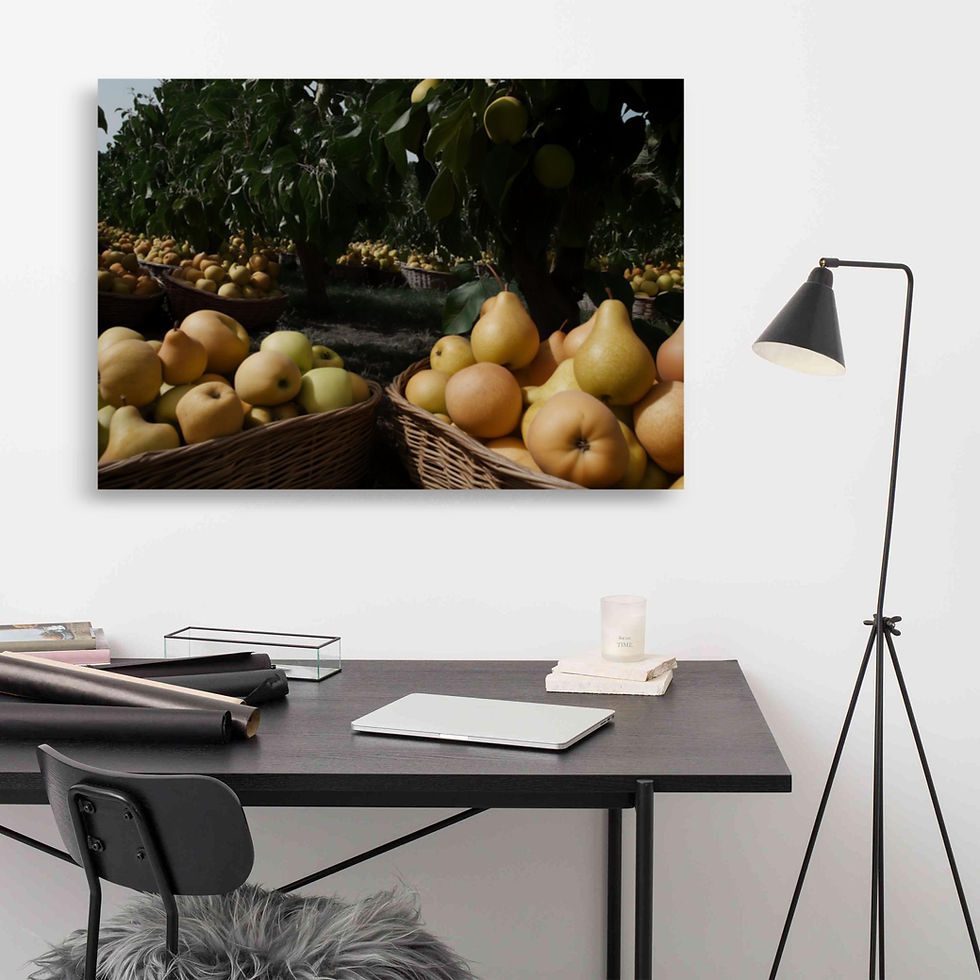 Thumbnail: Pear Harvest Abundance poster by DesignByGade