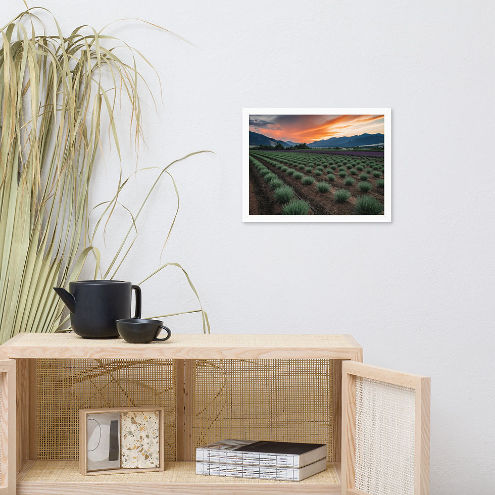 Thumbnail: Framed Lavender Field at Sunset art poster by DesignByGade