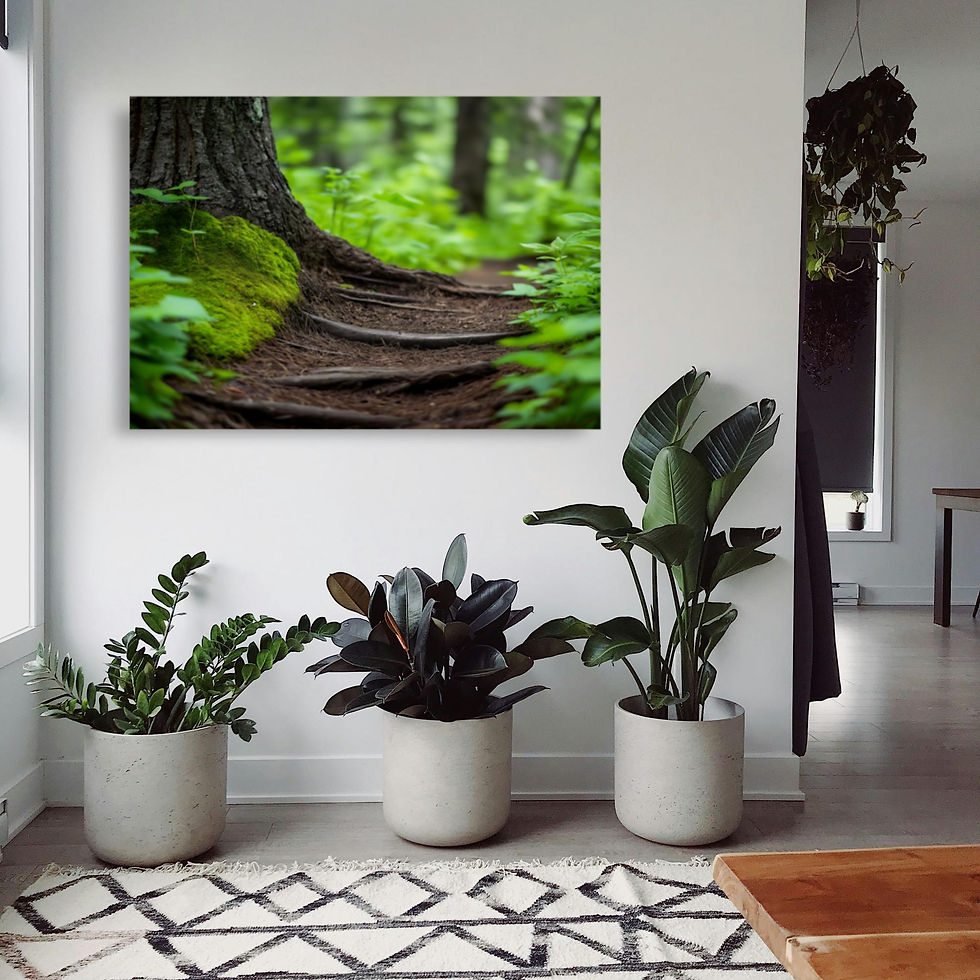 Thumbnail: Path in forest with tree roots and green foliage.