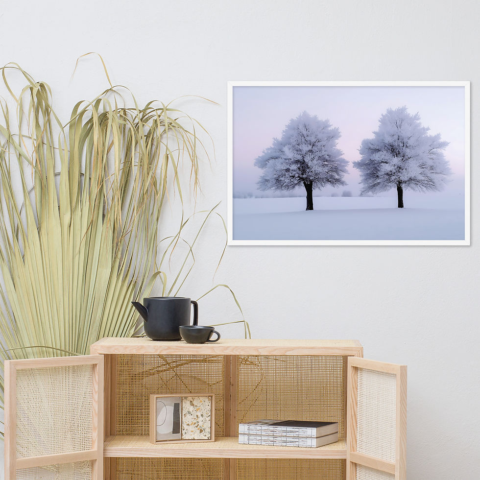 Thumbnail: Pink Sunrise Winter Path - frosty trees