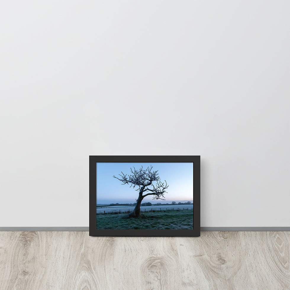 Thumbnail: Frosted Winter Tree print in a black frame