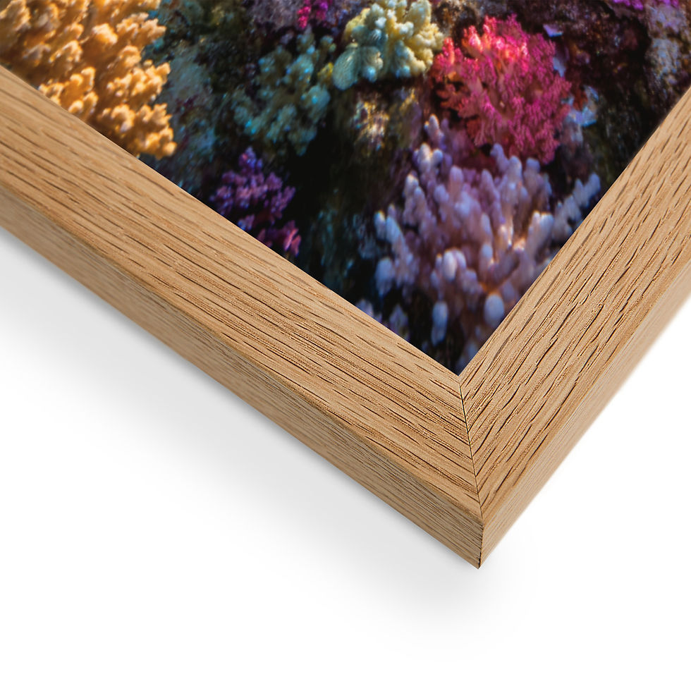 Thumbnail: Colorful coral reef print framed in wood; ocean life art.