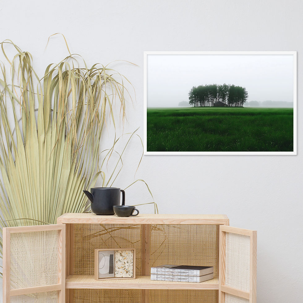 Thumbnail: Solitary barn in a foggy field, DesignByGade.