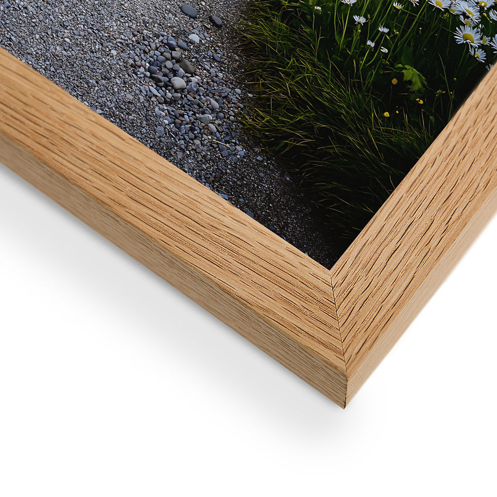 Thumbnail: Close-up of a framed image by DesignByGade.