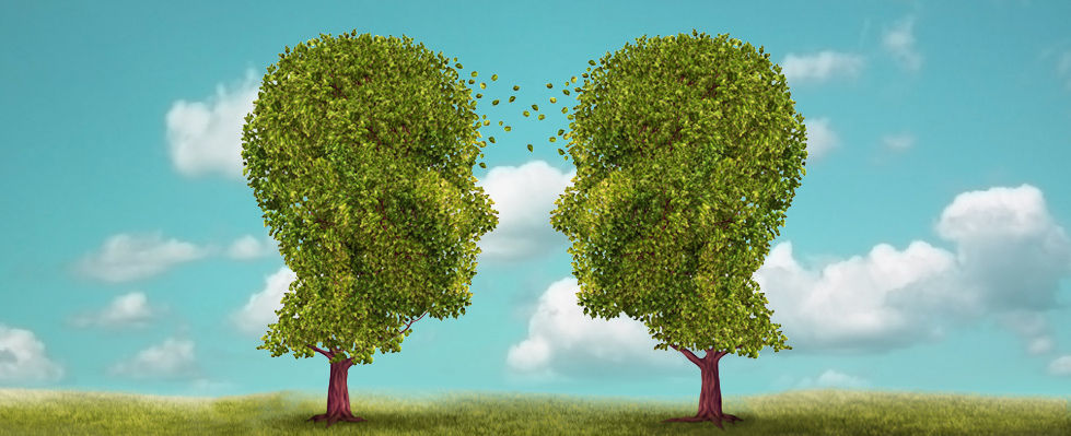 Dr. Matz Coaching Leipzig