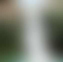 Cachoeira alta em meio à mata fechada em Patrocínio, com queda d’água forte caindo sobre um poço de água 