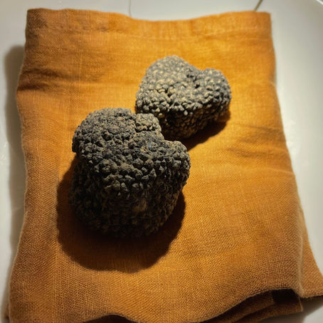 Profumo d’estate da MATERIA, arrivano i tartufi neri !