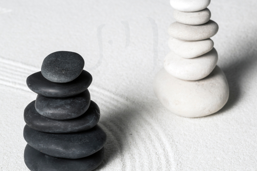 Balanced harmony: embracing peace amid life's contrasting elements.