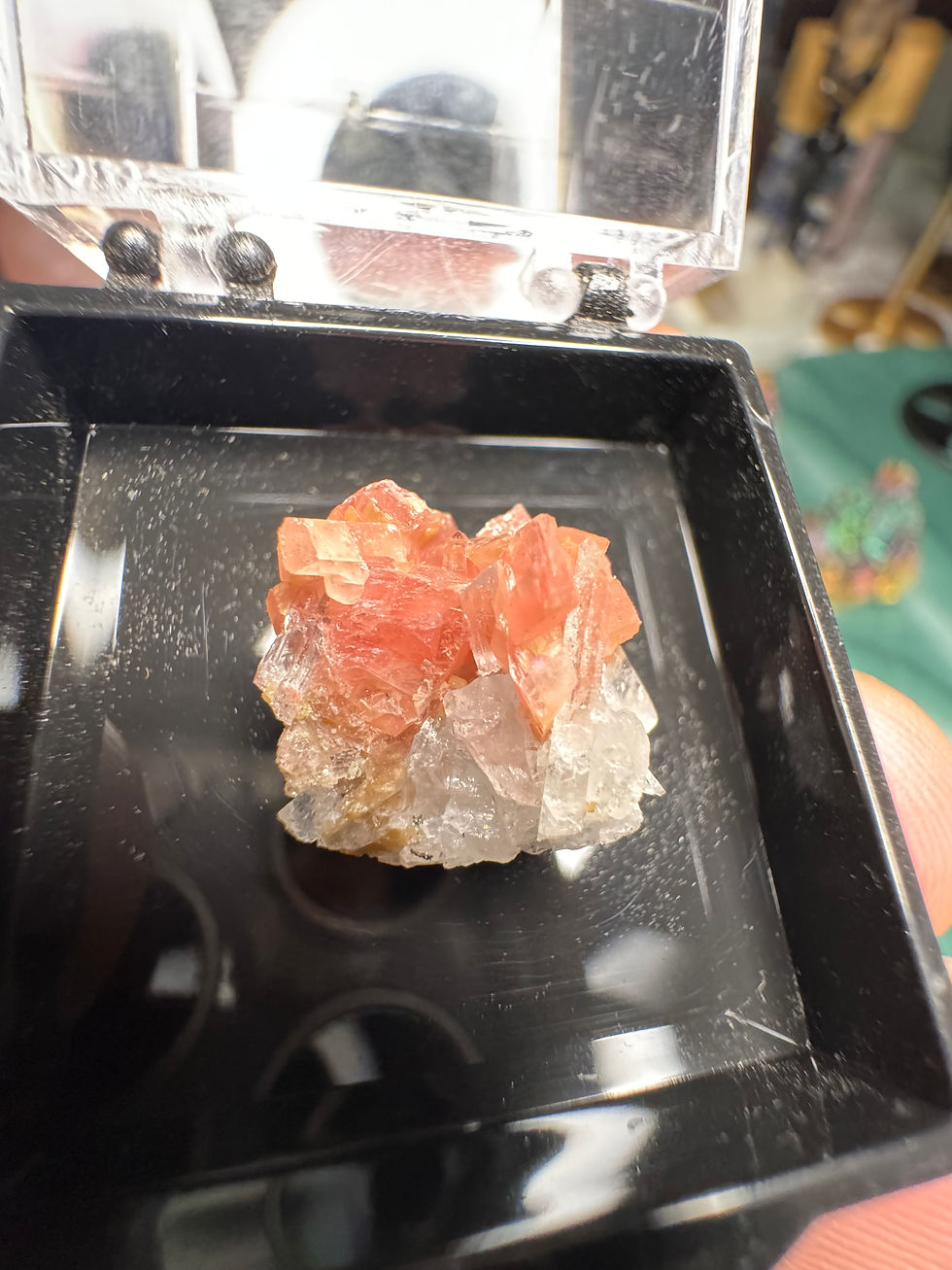 Thumbnail: Rhodochrosite Specimens