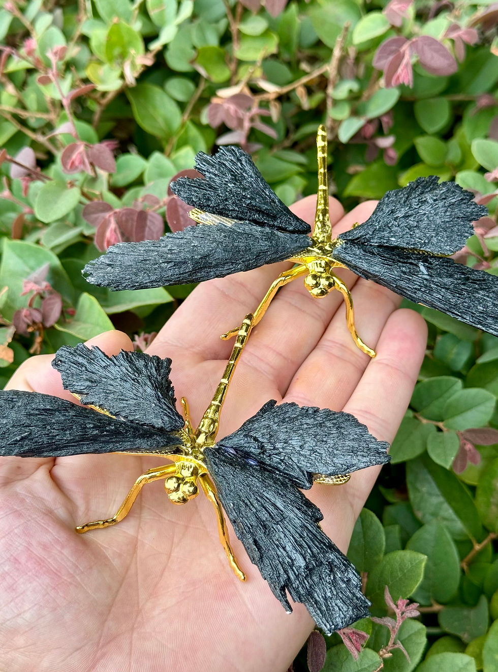 Kyanite Winged Dragonflies
