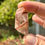 Thumbnail: Brazilian Red Amphibolite Quartz
