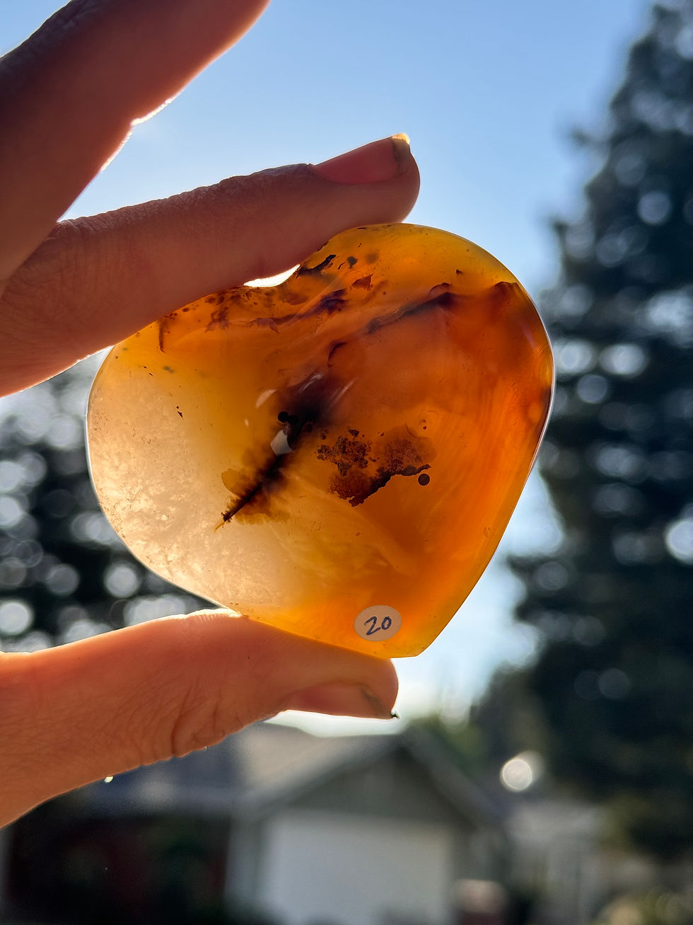 Thumbnail: Dendritic Agate Hearts 🌿✨