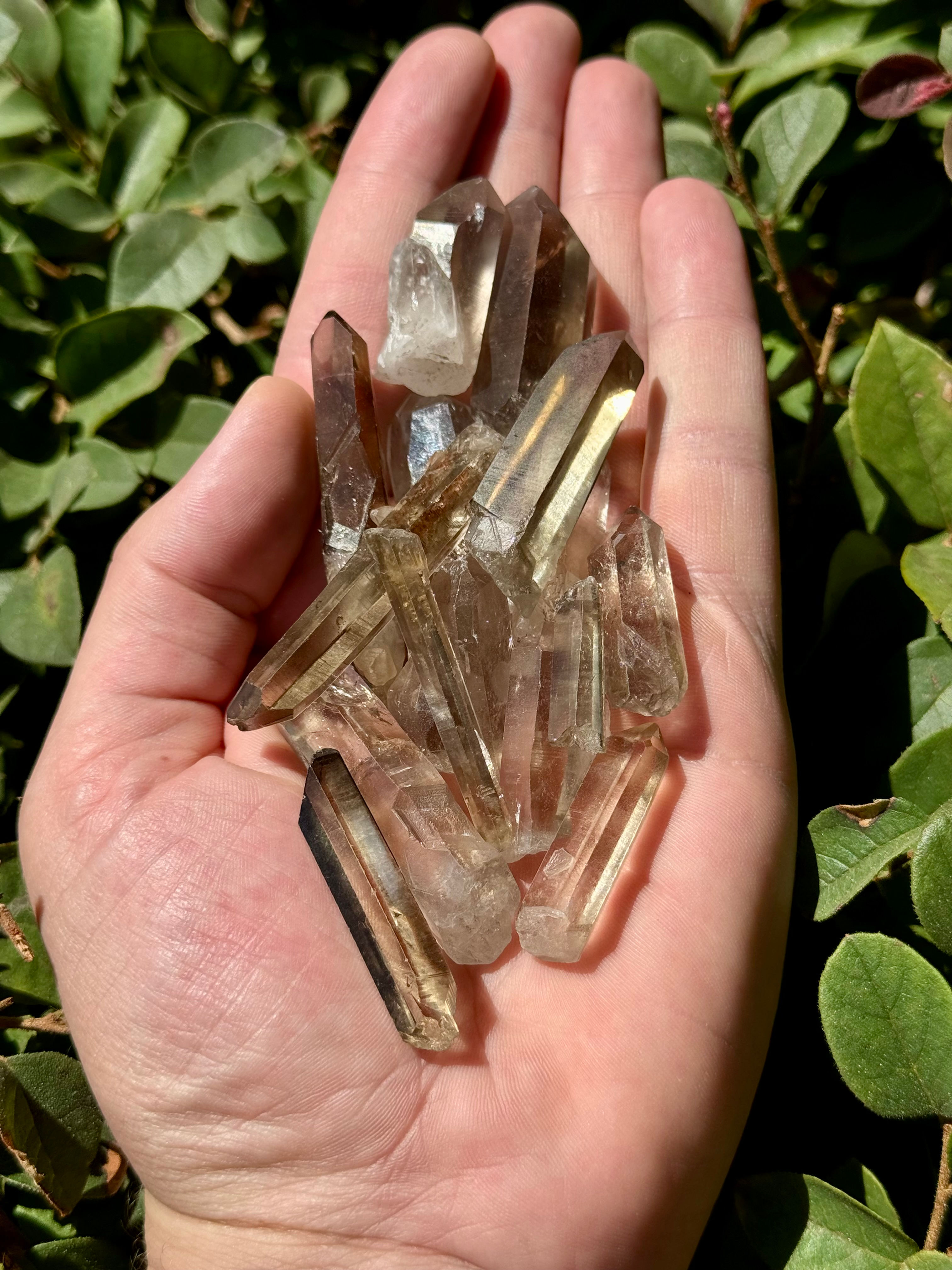 Smokey Quartz Points