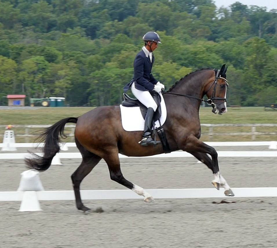 Ruzar and Julio Morven 2016