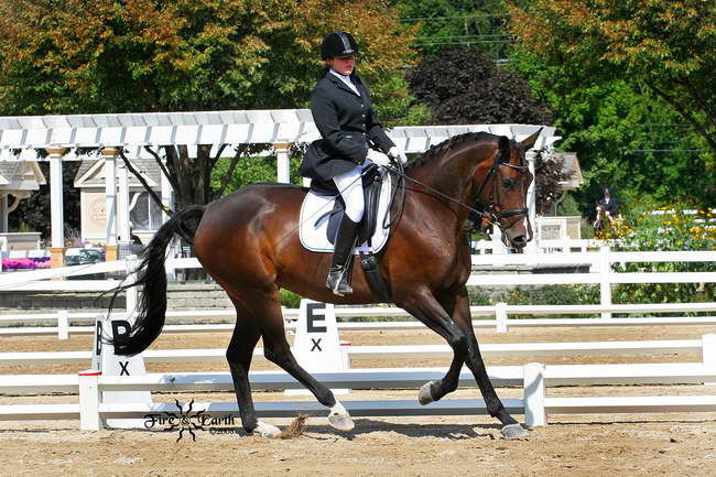 Mirra 2008