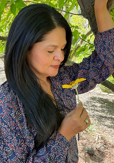 0762EDEC-5F55-42A0-A6A5-20EA3E4F81AE_edi