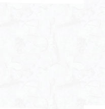 名称未設定-2_edited.jpg