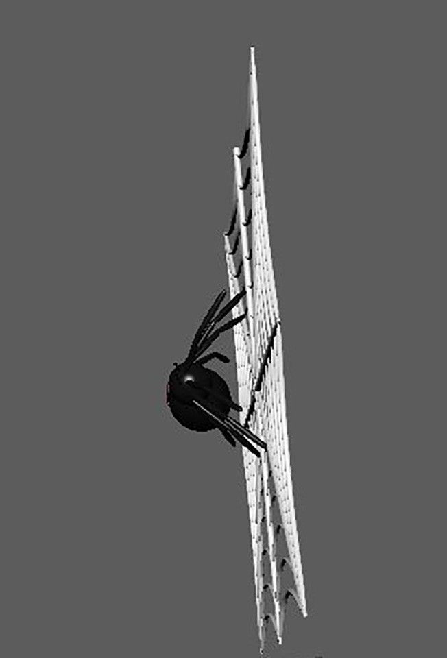3dGraphics_11_b