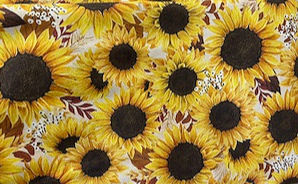 Thumbnail: BBQ Style Apron - Reversible - $40