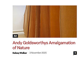 Andy Goldsworthy Article