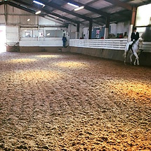 Full sized indoor arena