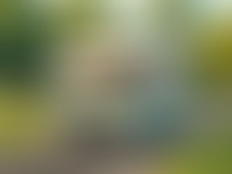 Hit the road and hit the wall.