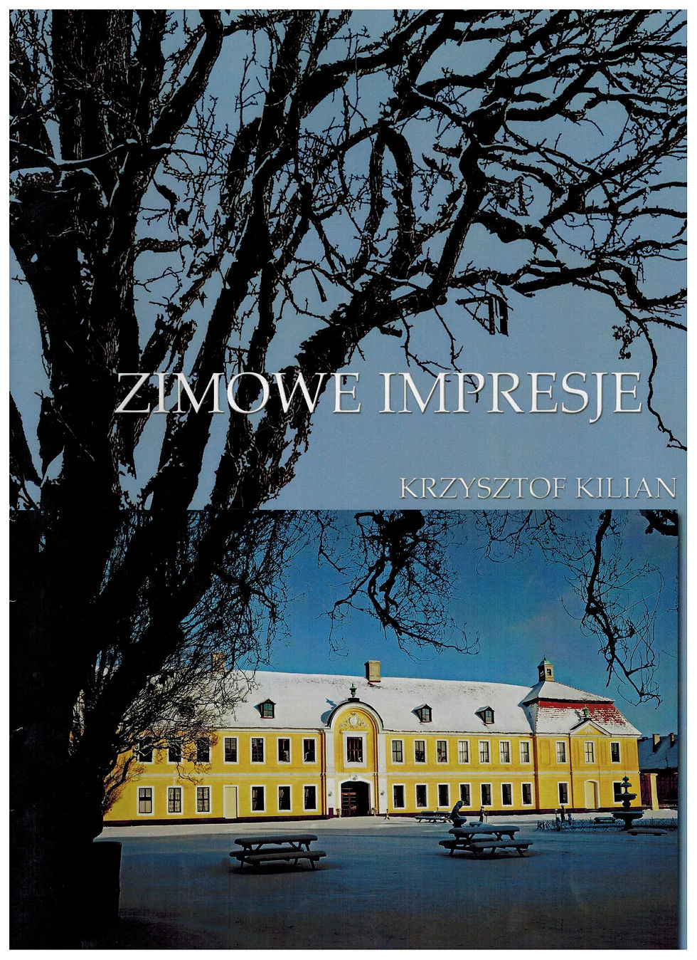 Zimowa impresje