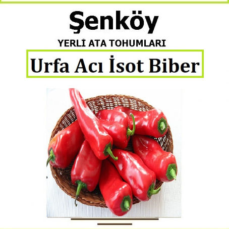 Neden Yerli Ata Sebze Tohumu Ekmeliyim?