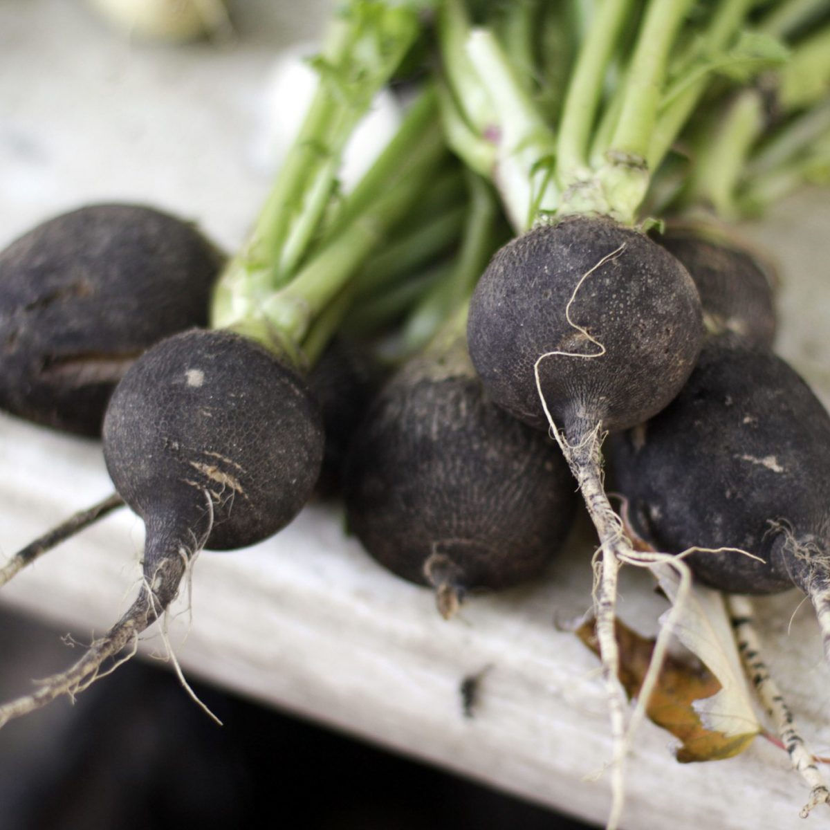 Doğal Siyah Turp Tohumu - 10 Gr