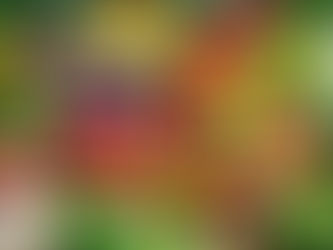  Sebze tohumlarının saklama ömrü ne kadar?