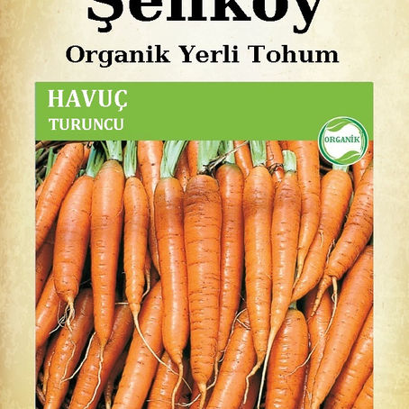 Havuç Tohumu Nasıl Ve Ne Zaman Ekilir? Havuç Tohumu Nasıl Olur Ve Nereden Alınır?