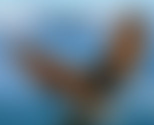 My youth is renewed .. Psalm 103