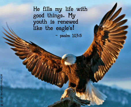 My youth is renewed .. Psalm 103