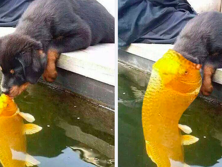 How did it end up like this???