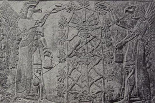 From Endarkenment to Enlightenment, as the Energies Rise, March 27, 2023 by Steve Beckow