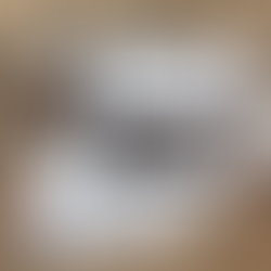 The Sealing Power (Come Follow Me: Jan 20-26)