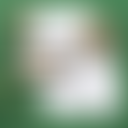 Personal Revelation (Come Follow Me: Dec 16-22)