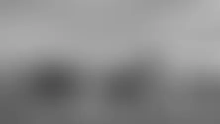 Conociendo al sector de comercio exterior