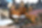 MerchantsHouseCafe_forWeb-5.jpg