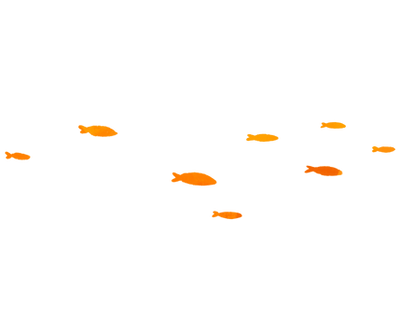 Untitled_Artwork 5_edited.png