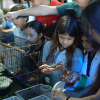 Jewish academy science fair academics 15.tif