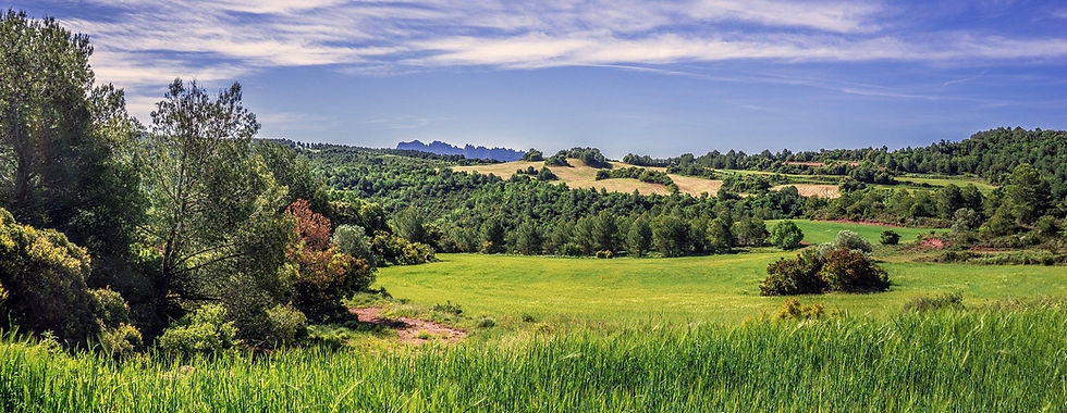 rural-landscape-3422499_1920.jpeg