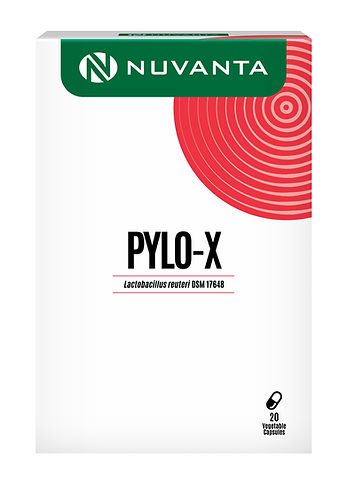 NVS Pylo-X 20ΓÇÖS_Superimpose_edited.jpg