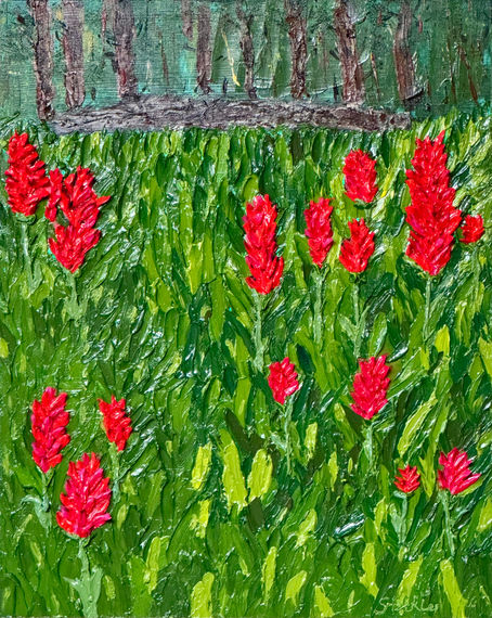 Paintbrush flowers in front of a fallen tree and forest